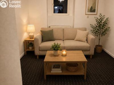 Rent apartment 2+1 Stod, Kostelní 213 č. 6