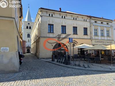 Аренда квартиры 1+1 Valašské Meziříčí, Náměstí č. 1
