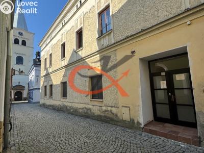 Аренда квартиры 1+1 Valašské Meziříčí, Náměstí č. 8