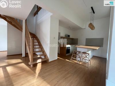 Sale apartment 2+KK Černý Důl č. 1