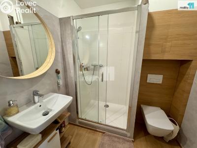 Sale apartment 2+KK Černý Důl č. 3