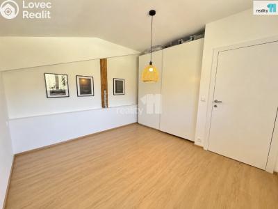 Sale apartment 2+KK Černý Důl č. 11