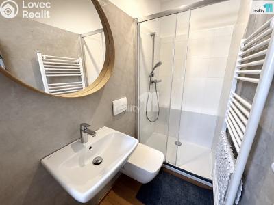 Sale apartment 2+KK Černý Důl č. 17