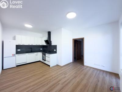 Аренда квартиры 2+KK Dašice, U Kasáren č. 2