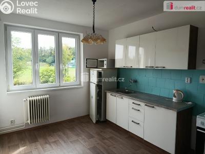 Rent apartment 4+1 Zbuzany, V Zahradě č. 1