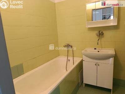 Rent apartment 4+1 Zbuzany, V Zahradě č. 20