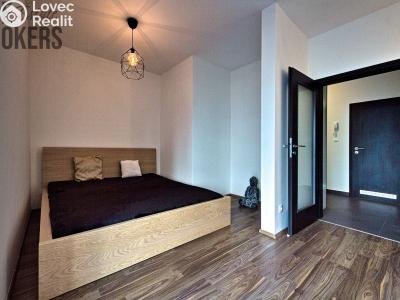 Аренда квартиры 1+KK Praha, U Mlýnského kanálu č. 3