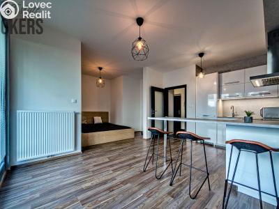 Аренда квартиры 1+KK Praha, U Mlýnského kanálu č. 5