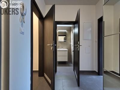 Аренда квартиры 1+KK Praha, U Mlýnského kanálu č. 8