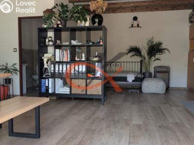Аренда нестандартной квартиры Rožnov pod Radhoštěm, Polanského 2778 č. 7