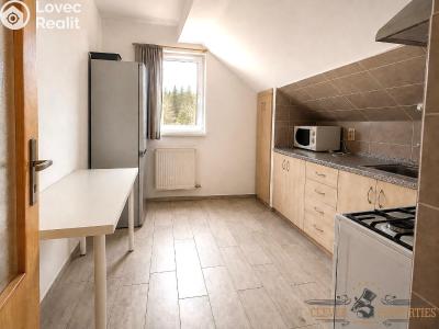 Rent apartment 2+1 Hlinsko, Čechova č. 5