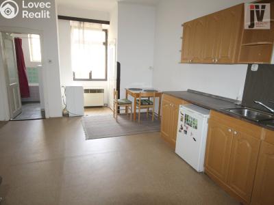 Rent apartment 2+1 Plzeň, Purkyňova č. 2