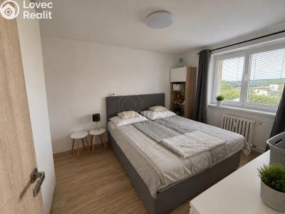 Rent apartment 2+1 Milevsko, P. Bezruče č. 4