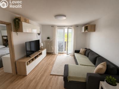 Rent apartment 2+1 Milevsko, P. Bezruče č. 5
