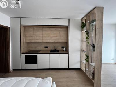 Аренда квартиры 1+KK Praha, Jáchymovská č. 8