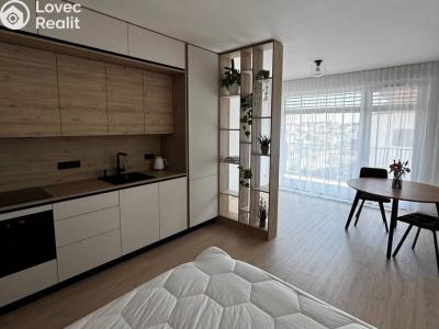 Аренда квартиры 1+KK Praha, Jáchymovská č. 1