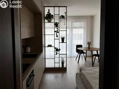 Аренда квартиры 1+KK Praha, Jáchymovská č. 4