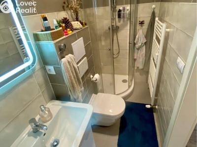 Аренда квартиры 2+KK Praha, Karlovarská č. 10