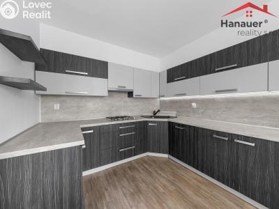 Prodej bytu 3+1 Děčín, Čsl. partyzánů 357 č. 1