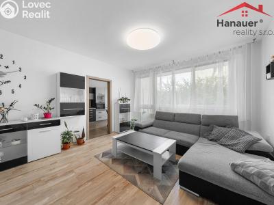 Prodej bytu 3+1 Děčín, Čsl. partyzánů 357 č. 3
