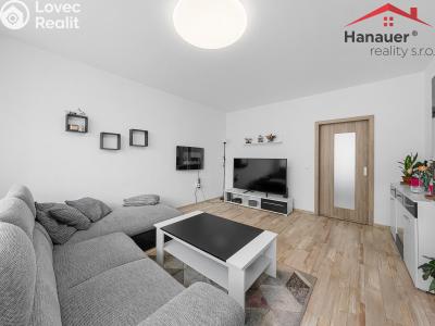 Prodej bytu 3+1 Děčín, Čsl. partyzánů 357 č. 4
