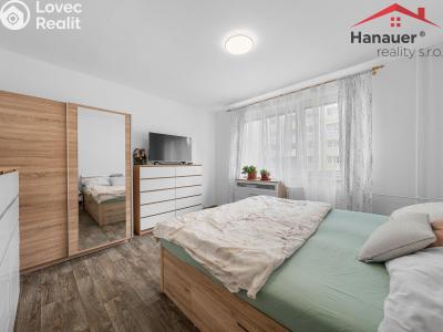 Prodej bytu 3+1 Děčín, Čsl. partyzánů 357 č. 6