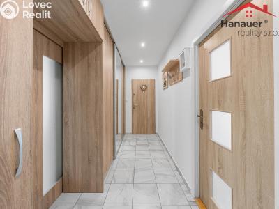 Prodej bytu 3+1 Děčín, Čsl. partyzánů 357 č. 11