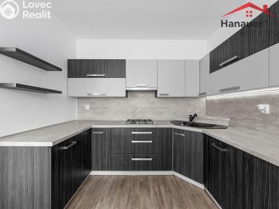 Prodej bytu 3+1 Děčín, Čsl. partyzánů 357 č. 13