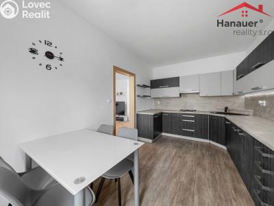 Prodej bytu 3+1 Děčín, Čsl. partyzánů 357 č. 14