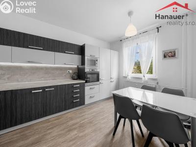 Prodej bytu 3+1 Děčín, Čsl. partyzánů 357 č. 15
