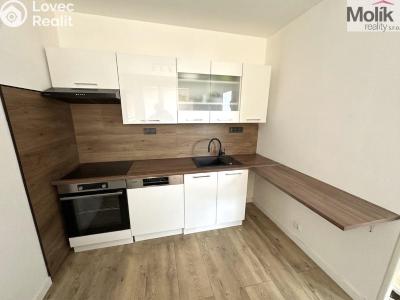 Prodej bytu 3+1 Teplice, Rovná č. 1