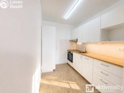 Rent apartment 2+KK Neratovice, 17. listopadu č. 1