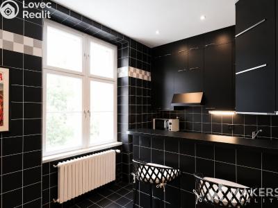Rent apartment 2+1 Praha, Janáčkovo nábřeží č. 6