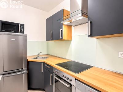 Аренда квартиры 3+1 Praha, Lovčenská č. 5