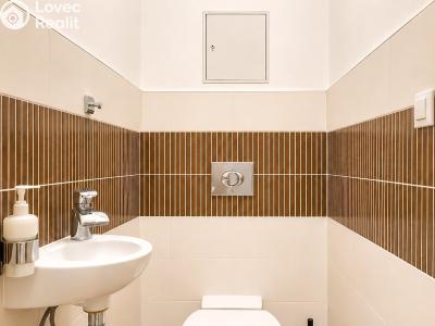 Аренда квартиры 3+1 Praha, Lovčenská č. 20