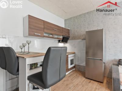 Prodej bytu 2+KK Děčín, V Sídlišti 381 č. 1