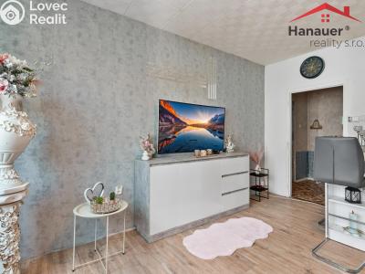 Prodej bytu 2+KK Děčín, V Sídlišti 381 č. 2