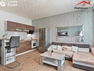 Prodej bytu 2+KK Děčín, V Sídlišti 381 č. 3