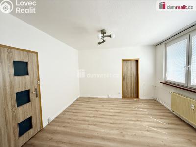 Rent apartment 2+1 Frenštát pod Radhoštěm, Fr. Horečky č. 4