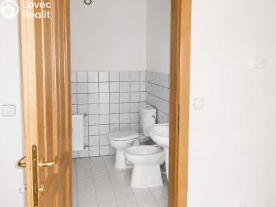 Rent atypical apartment Tuchoměřice, V Kněžívce č. 11