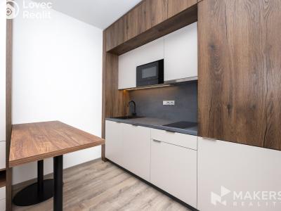 Аренда квартиры 2+KK Praha, Na úlehli č. 9