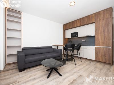 Аренда квартиры 2+KK Praha, Na úlehli č. 4