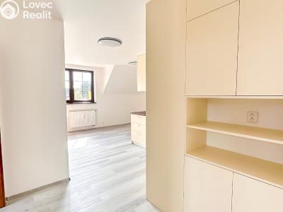 Аренда квартиры 2+KK Praha, Konojedská č. 7