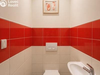 Аренда квартиры 1+1 Praha, Hálkova č. 7