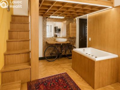 Аренда квартиры 1+1 Praha, Hálkova č. 5