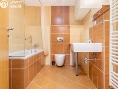 Продажа квартиры 1+KK Hostivice, Žitná č. 10