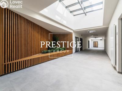 Аренда квартиры 2+KK Praha, Kobrova č. 11