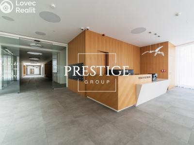 Аренда квартиры 2+KK Praha, Kobrova č. 12