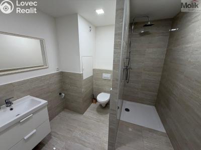 Prodej bytu 3+1 Teplice, Zemská č. 1
