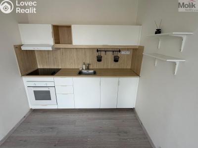 Prodej bytu 3+1 Teplice, Zemská č. 5